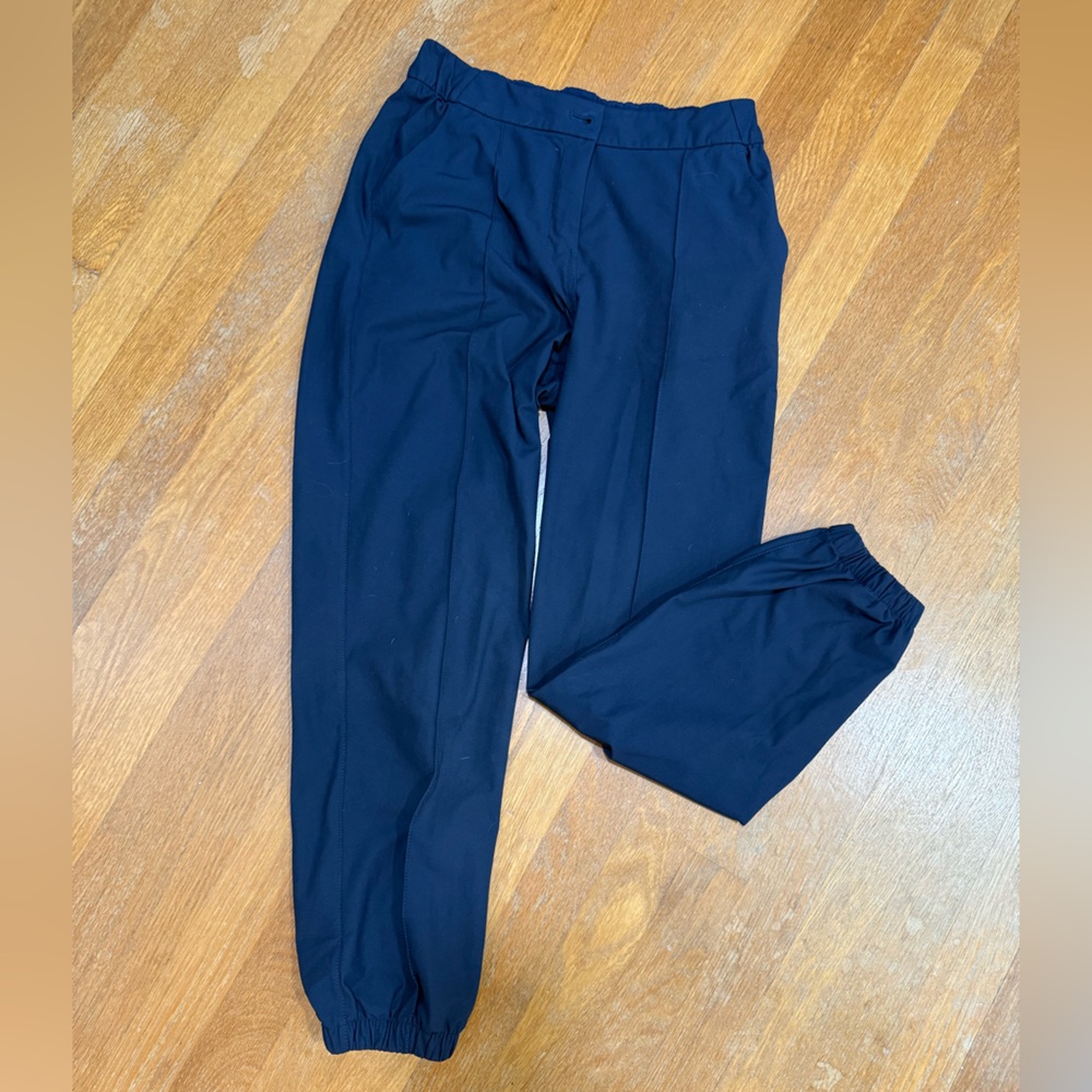 Lululemon Athletica Blue Track Pants with Tapered Ankles